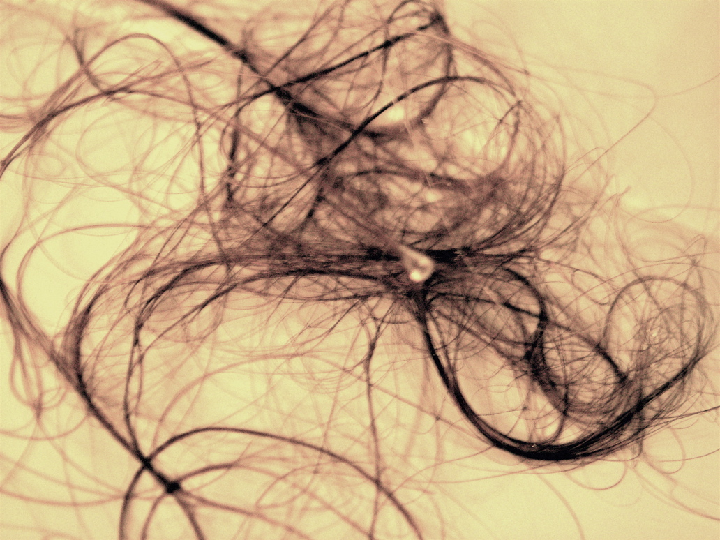 shower-wall-hair.jpg