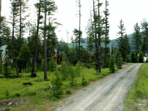 Lakefront Cabin in Mountains